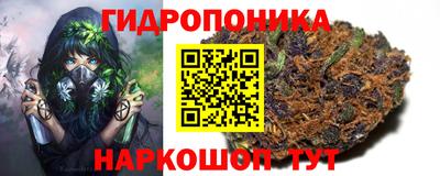 ПСИЛОЦИБИНОВЫЕ ГРИБЫ Тулун