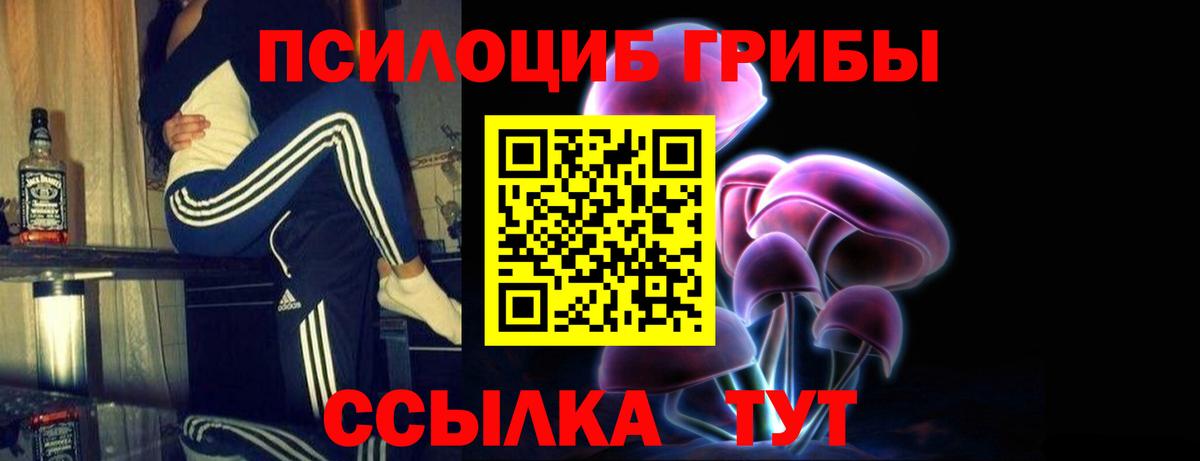 Оренбург  Псилоцибиновые грибы Psilocybine cubensis  Вход с VPN 